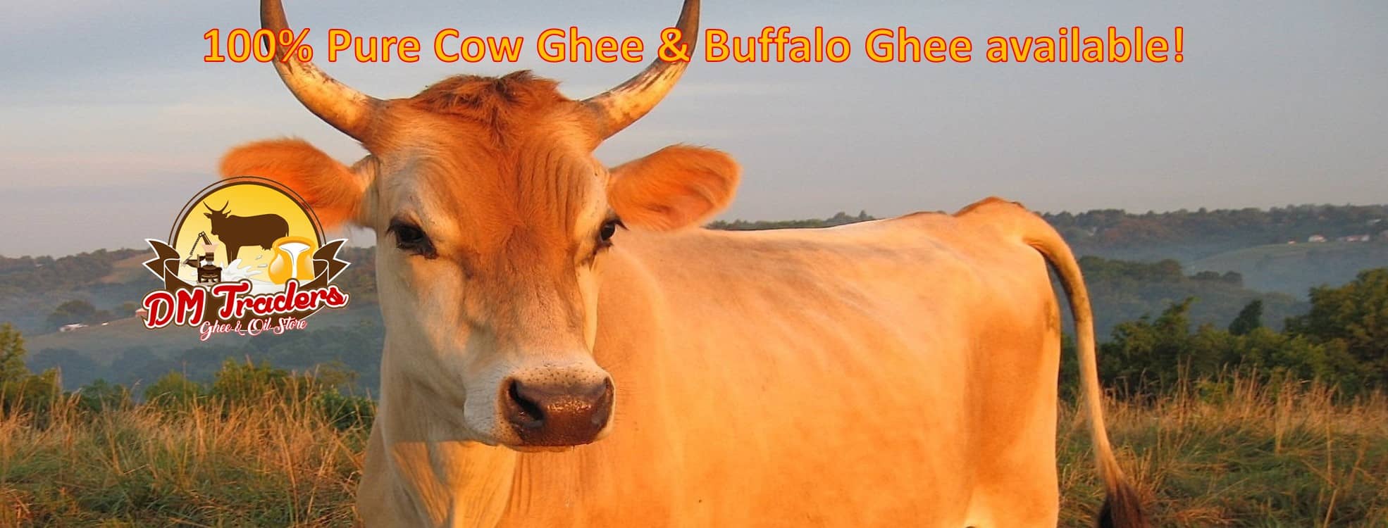 pure cow ghee