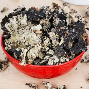 Kalpasi, Also Known As Stone Flower In A Red Bowl From Dm Traders Organic Store.