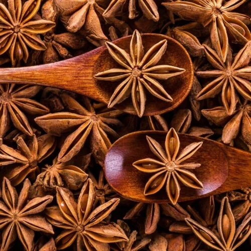 All About Star Anise Know Your Spice Star Anise Or Chakra Phool Illicium Verum 500X500 1 - Annachi Poo (Star Anise) Star Anise On Wooden Spoons From Dm Traders Organic Store.