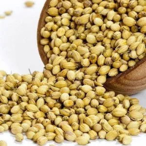 Dhaniya Seed 500X500 1 - Dhaniya (Coriander Seeds) Coriander Seeds Spilling From A Wooden Bowl, Sold By Dm Traders Organic Store.