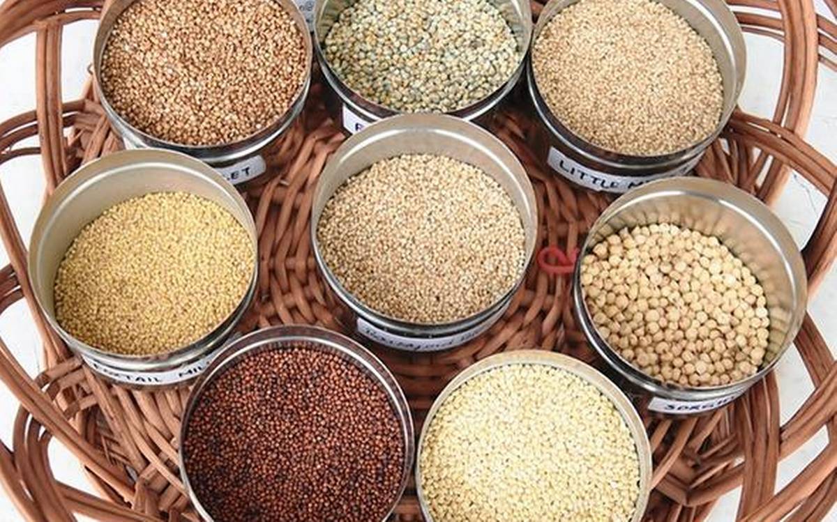 Buy Premium Millets in Chennai Healthy & Nutritious DM Traders