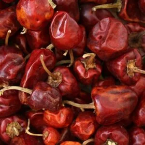 A close-up of several dried red chili peppers with stems.