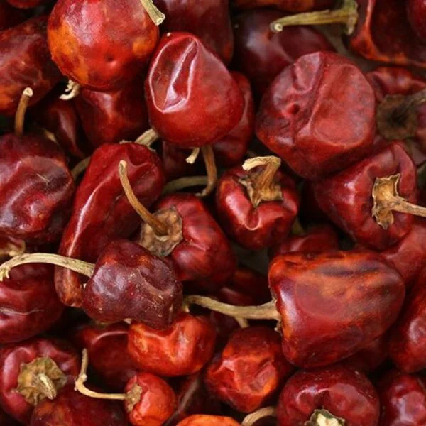 Gundu Milagai 1 - Round Chilli (Gundu Milagai) A Close-Up Of Several Dried Red Chili Peppers With Stems.