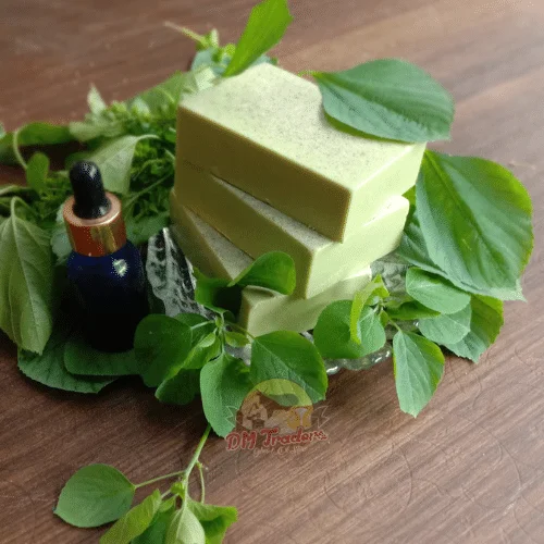 Kuppaimeni Soap Organic Kuppaimeni Soap Bars And A Blue Glass Dropper Bottle On A Bed Of Fresh Green Leaves With &Quot;Dm Traders Organic Store&Quot; Logo.